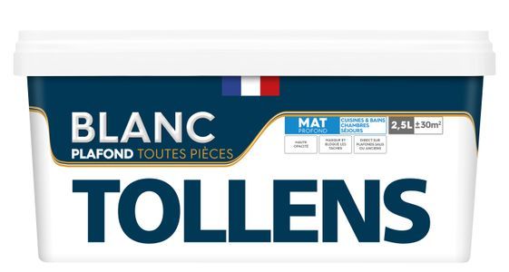 Plafond Toutes pièces Mat