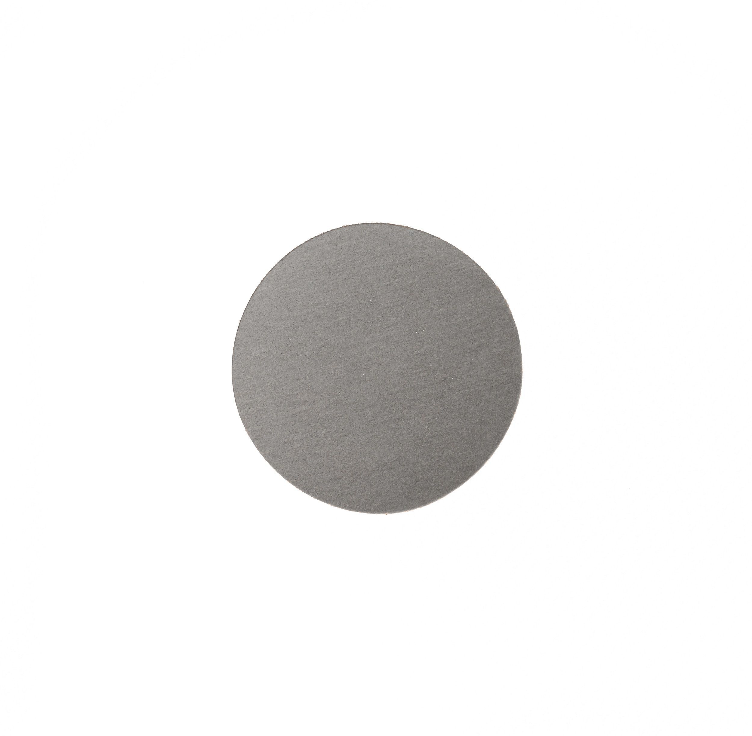 WPF Ø 77 mm disque abrasif auto-agrippant waterproof